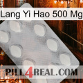 Lang Yi Hao 500 Mg 16